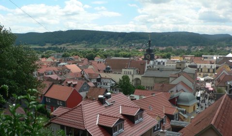 Rudolstadt ist einmal jährlich die Hauptstadt der Weltmusik. Foto: Lieberwirth