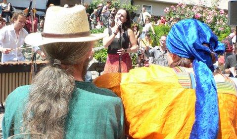 Rudolstadt-Festival. Foto: Lieberwirth