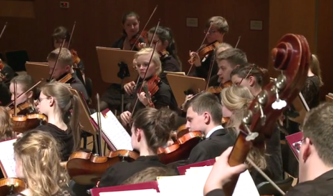 Mitglieder der Deutschen Streicherphilharmonie. Foto: nmzMedia