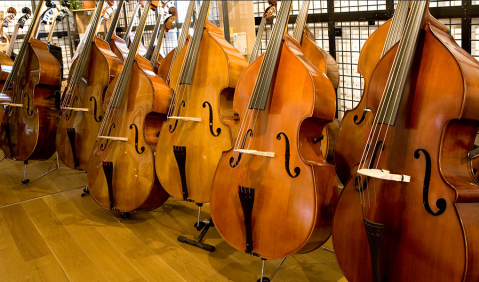 Streich-Instrumente im Hause Thomann. Foto frei