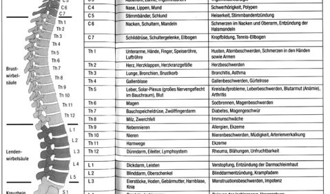 Das Wirbelproblem ist für Musiker existenziell. Eine Tabelle von L. Cross verdeutlicht die Zusammenhänge. Nach Cross hat eine Röntgenuntersuchung an 1.000 Erwachsenen gezeigt, dass lediglich 28 von ihnen eine gerade Wirbelsäule, also keine Skoliose hatten