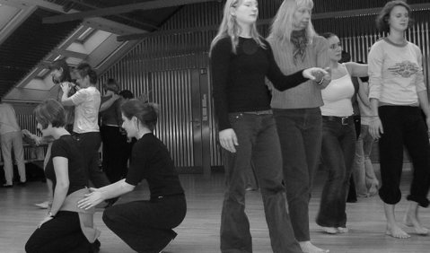 Erfahrungsorientiert und wissenschaftlich: ein Schnappschuss vom Rhythmiksymposium in Weimar am 9. und 10. Oktober 2004. Foto: Anne Stiller