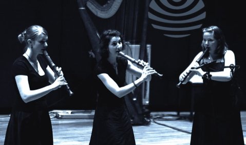 Titelbild 1. Preis bei “Jugend musiziert“ 2005: Leonie Lubczyk, Eva Leonie Fegers und Silvia Backhaus spielen „Articulator“ von Agnes Dorwarth. Foto: Erich Malter