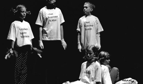 Vermittlung jedoch braucht langfristige stete Bemühung. Ein einziger Kinderworkshop wird selten nachhaltige musikalische Elementarerfahrungen auslösen. Ein ausgeprägtes Beispiel konzertpädagogischer Arbeit war die Aufführung der Oper „Brundibár“ bei der B