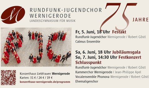 &copy; LGM Wernigerode
