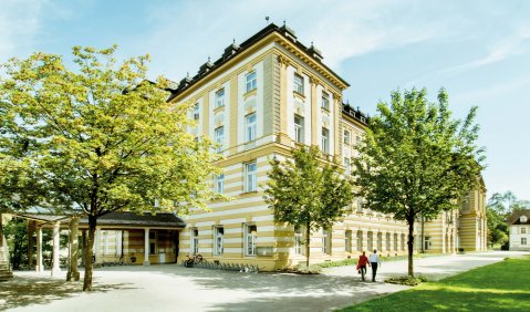 Ein altes gelb-weißes Schlossgebäude mit umgebenden Bäumen