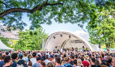 Africa Festival Würzburg