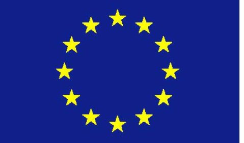 EU Flagge