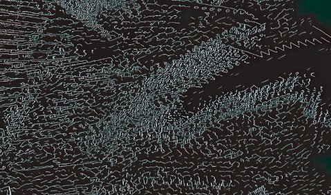 Meldungen