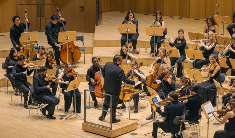Moritzburg Festival Orchester