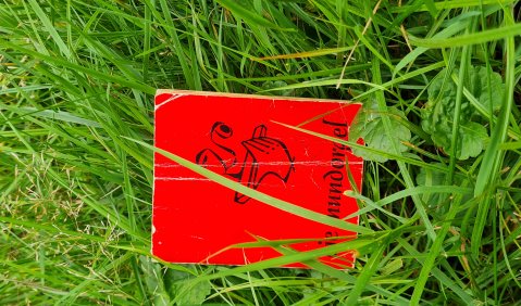 Eine „echte“ mundorgel muß Gebrauchsspuren aufweisen und landet vielleicht auch mal im Gras – vergessen tut sie der Besitzer aber nie! © Ralf-Thomas Lindner.