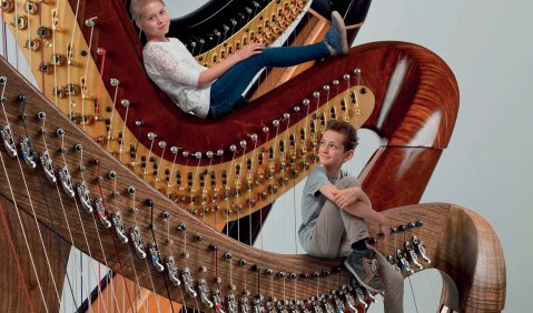 Eine Fotomontage aus drei Harfen mit verkleinertern Menschen die auf dem oberen Bogen sitzen oder liegen. Darunter der Schriftzug "Lehrplan Harfe".