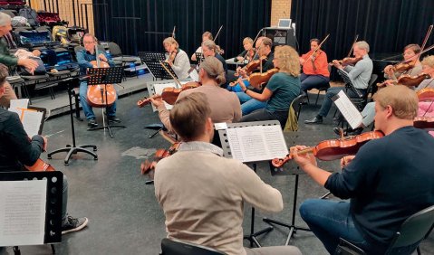 Ein Streichorchester im Halbkreis. An der stumpfen Seite sitzt eine Cellistin.