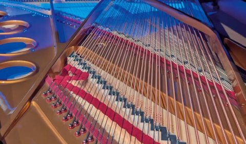 Gut zug&auml;nglich f&uuml;r Gegenwartsmusik: der Sauter Omega. Foto: SAUTER 