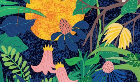 Der Garten hei&szlig;t Max Prosas neues Album 