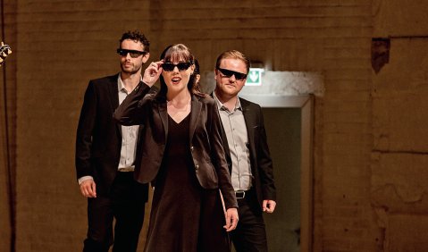 Das Rheinsberg Opera Collective. Foto: Uwe Hauth