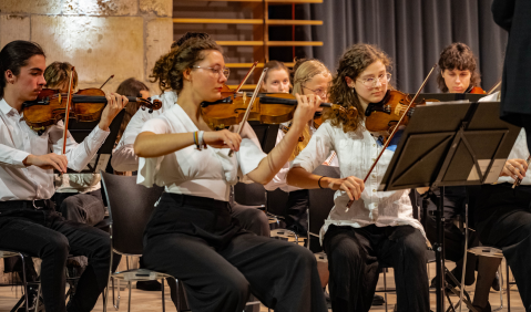 Sinfonisches Musikschuleorchester Sachsen-Anhalt