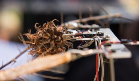 Musikinstrument. Foto: Hufner