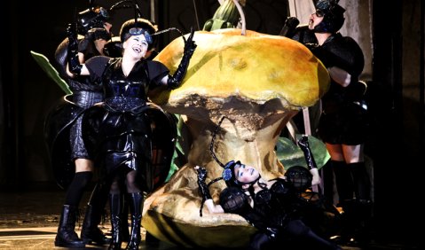 Anatstasia Melnik als Ameise Annabelle in Christian Josts „Mikropolis“. Foto: Wolfgang Silveri