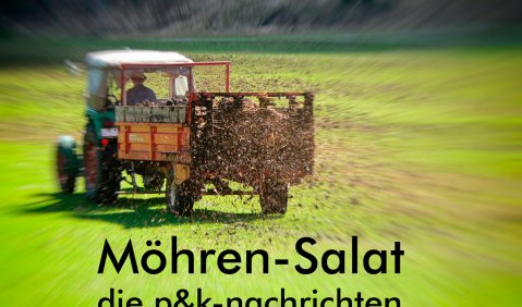 Möhrensalat. Foto: Hufner