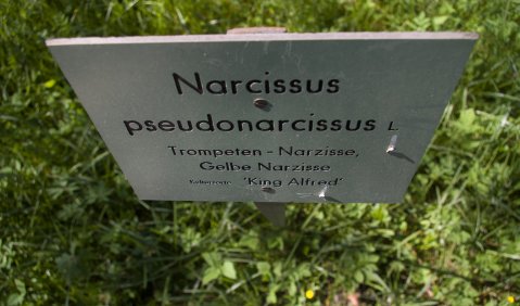 Hochschulen Narzismus. Foto: Hufner