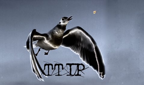 Tag gegen TTIP. Foto: Hufner