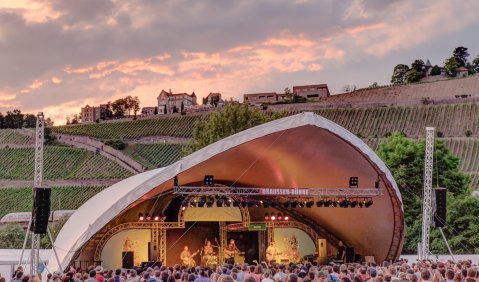 Rund 60 Bands fast aller Genres - Würzburger «Umsonst & Draußen». Foto: Presse, Holger Blum