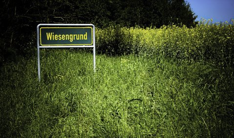 Wiesengrund im Grünen. Foto: Hufner