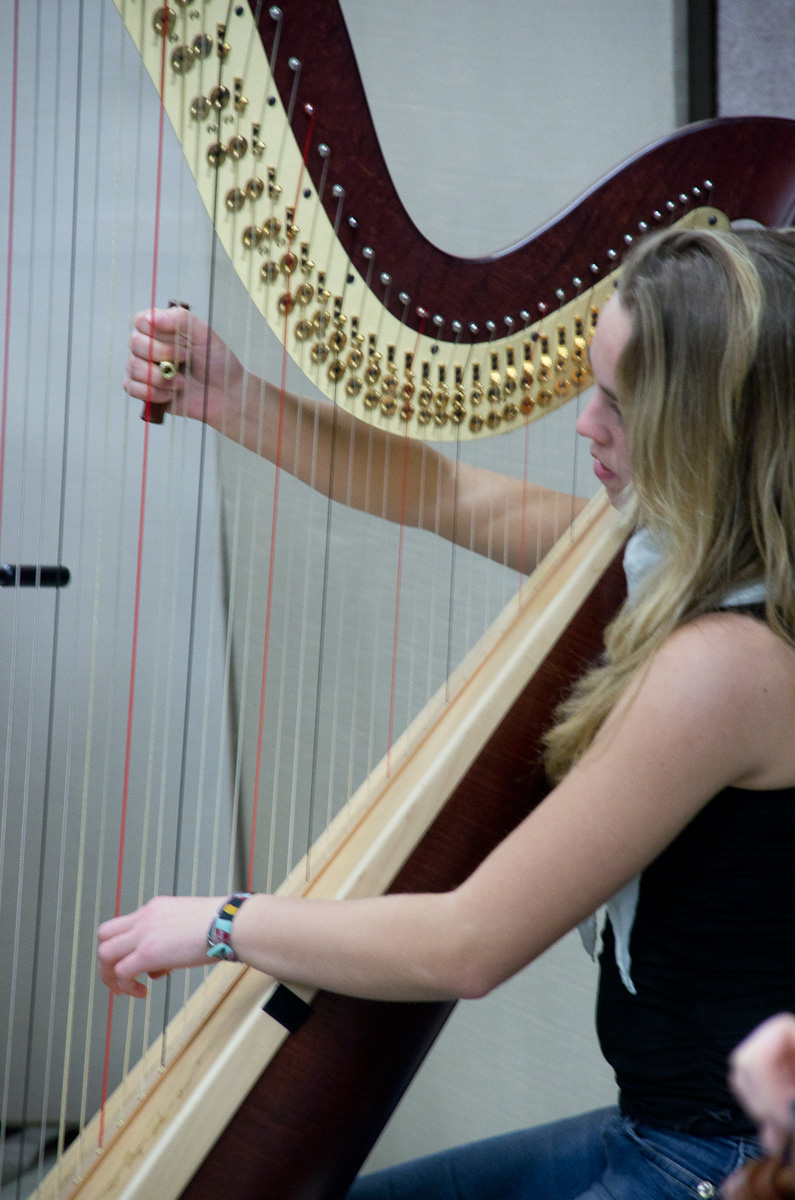 Viele Strings: die Harfe mit Musikerin